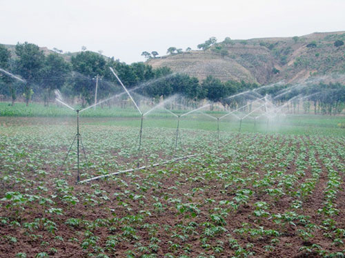 �c(di��n)���鿴Ԕ��(x��)��Ϣ��(bi��o)�}����̶����� ��x�Δ�(sh��)��2722