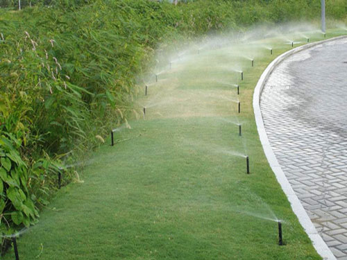 �c���鿴Ԕ����Ϣ���}����ƺ���� ��x�Δ�(sh��)��3171