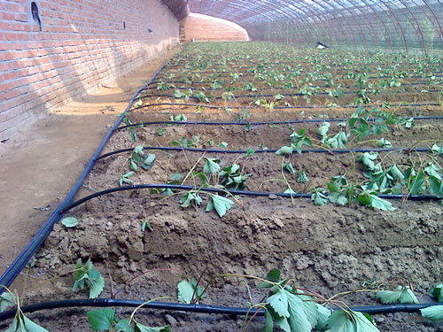 �c���鿴Ԕ����Ϣ���}�������ݮ�ι�� ��x�Δ�(sh��)��2864