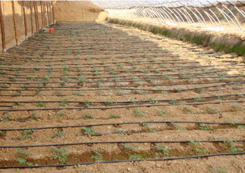 �c���鿴Ԕ����Ϣ���}������ι�� ��x�Δ�(sh��)��2795