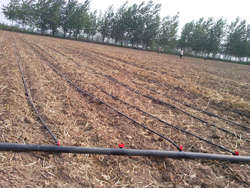 �c���鿴Ԕ����Ϣ���}������ι� ��x�Δ�(sh��)��2931