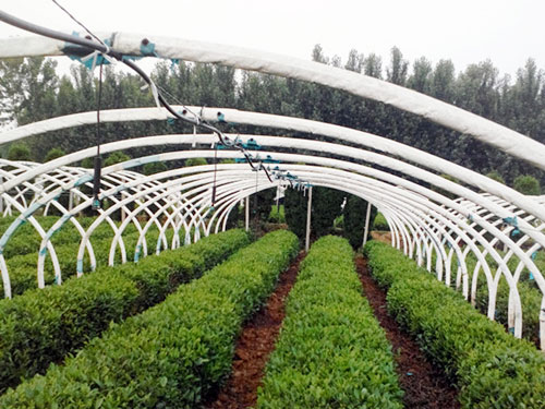 �c���鿴Ԕ����Ϣ���}�����~΢�� ��x�Δ�(sh��)��2751