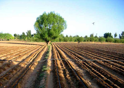 �c���鿴Ԕ����Ϣ���}���ι� ��x�Δ�(sh��)��2987