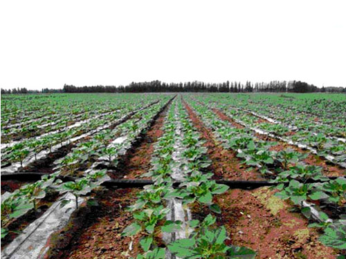 �c���鿴Ԕ����Ϣ���}���ι� ��x�Δ�(sh��)��2874