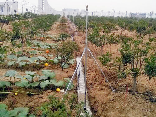 �c(di��n)���鿴Ԕ��(x��)��Ϣ��(bi��o)�}���̶����� ��x�Δ�(sh��)��3018