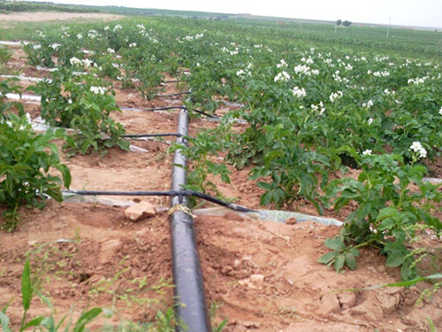 �c(di��n)���鿴Ԕ��(x��)��Ϣ��(bi��o)�}�������ι� ��x�Δ�(sh��)��3442