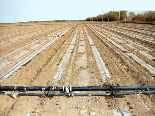 �c(di��n)���鿴Ԕ��(x��)��Ϣ��(bi��o)�}������Ĥ�ιܾW(w��ng)ʩ�� ��x�Δ�(sh��)��5254