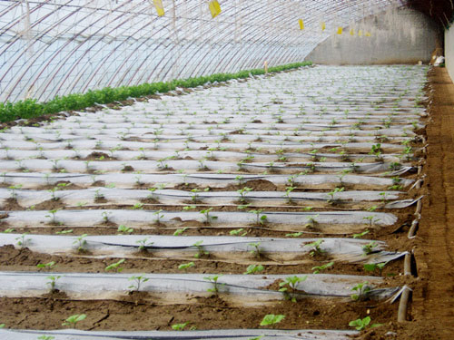 �c(di��n)���鿴Ԕ��(x��)��Ϣ��(bi��o)�}�����Ҵ���Ĥ�µι� ��x�Δ�(sh��)��4052