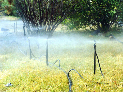 �c(di��n)���鿴Ԕ��(x��)��Ϣ��(bi��o)�}������΢�� ��x�Δ�(sh��)��5420