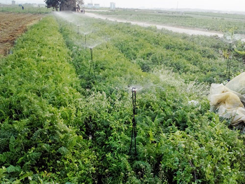 �c(di��n)���鿴Ԕ��(x��)��Ϣ��(bi��o)�}��ˎ�ĸߗU΢���^ ��x�Δ�(sh��)��5462