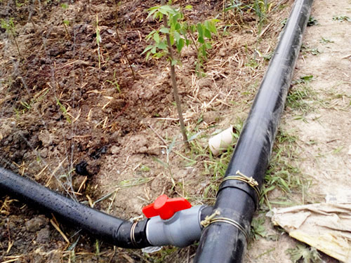 �c(di��n)���鿴Ԕ��(x��)��Ϣ��(bi��o)�}���ֵ؇����� ��x�Δ�(sh��)��5500