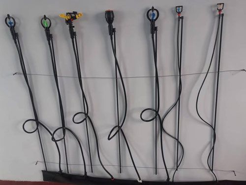 �c���鿴Ԕ��(x��)��Ϣ��(bi��o)�}�������w�S�U�ز�΢�� ��x�Δ�(sh��)��1172